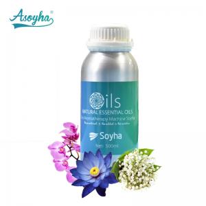 China Fragrance Liquid Ocean Scent Essential Oil With PET Bottle Packed wholesale