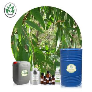 China Globulus Aromatherapy Essential Oils wholesale