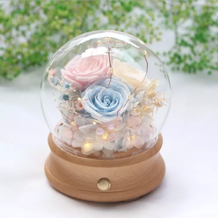 Wholesale Rose Preserved Flower in Glass Dome Flower for Valentines Day rose gift