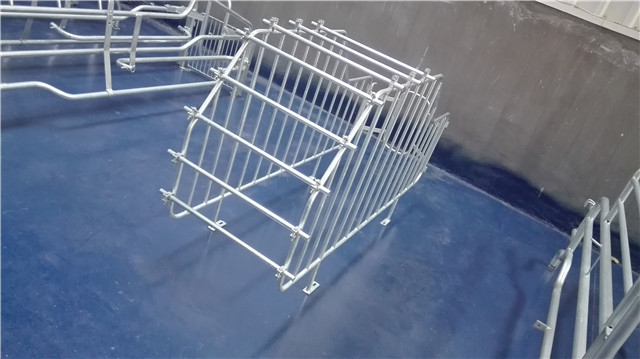 High Strength Steel Sow Gestation Crates / Indoor Guinea Pig Crate Anti Aging