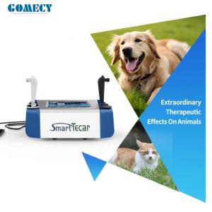 China Portable High-Performance Radiofrequency Tecar Therapy for Horse Sports Injuries - Advanced Physiotherapy Treatment wholesale