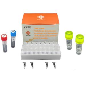 China African Swine Fever Porcine Test Kit ASFV Real Time PCR Rapid Test Kit wholesale