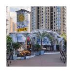 Durable Lightweight 6m Geodesic Dome Thickness 3.5mm Dome Igloo Tent