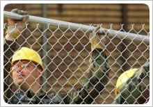 4meter Width 25mm 0.50m/Roll Chain Link Fences For Protection