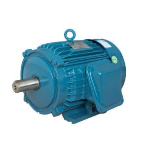 China Electrical IEC Standard Motors Cast Iron En 60034 30 1 wholesale