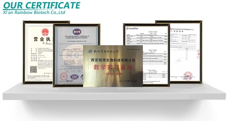 Seed Part Anti Tumor Herbal Apricot Kernel Extract