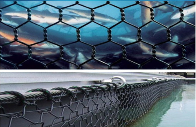PET 1.2m Hexagonal Gabion Fish Farming Net 30mm*40mm Aquaculture Cage