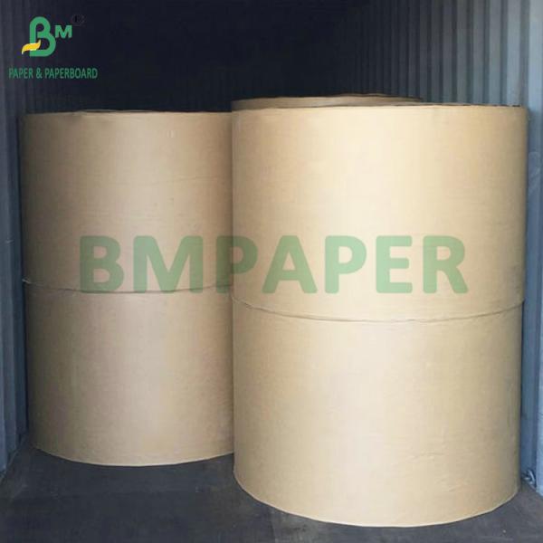 270gsm + 15g PE Coated Lunch Food Box Paper For Fruit Package High Stiffness