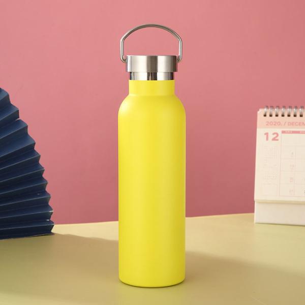 17 oz Stainless Steel Sports Water Bottle Insulated Reusable Water Bottles with Handle Metal Bottle for Hikers Gift