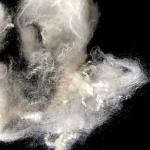 Bosilun Fiber Eslon Polyester Staple Fiber Korea For Pillow Sofa