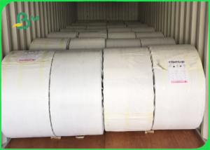 China Fully Compostable Straw Base Paper Roll 60 - 120gsm Sample Available wholesale