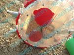 SIHNO corn seeder, corn planter