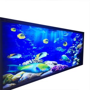 China Ceiling Acrylic LED Advertising Light Box High Brightness Customizable Color wholesale