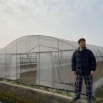 Polyethylene Film Greenhouse Agritulture Tunnel Plastic Greenhouse For Plant