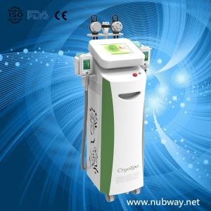 China Super fast amazing result cryolipolysis 4 head to lose weight wholesale