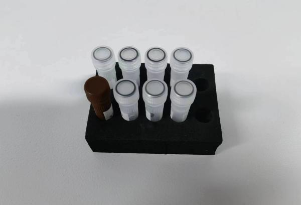 45 Min Standard Taq DNA Polymerase PCR Reagent Endo / Exonuclease Activity