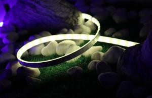 China High Cri SMD LED Strip Lights Outdoor Christmas Flexible IP67 Waterproof 20W wholesale
