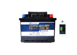 China IU 1024Wh 12v 80ah Lithium Ion Battery Copper Pillar UPS LiFePo4 Battery wholesale