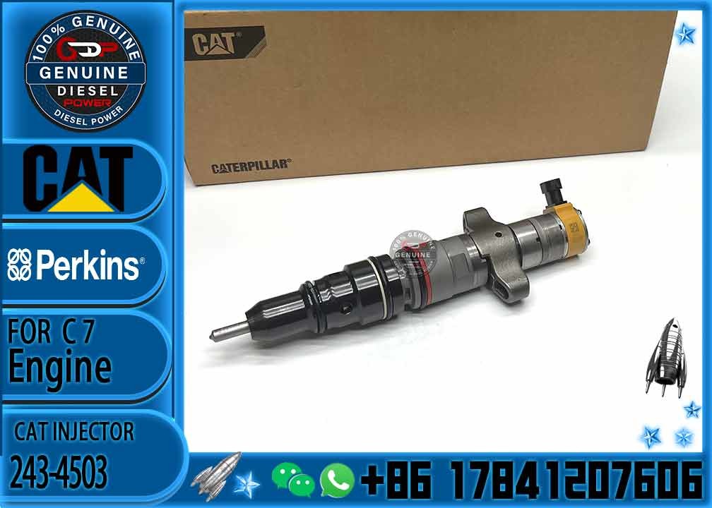 diesel engine parts Common rail injector 243-4503 10R-4763 10R-7221 20R-1260 10R-4761 387-9431 268-9577 293-4071
