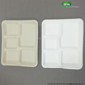 China 100% Biodegradable Sugarcane Pulp 5 Compartment Tray Natural Bagasse Eco-Friendly Compostable Melamine Dinner Plate wholesale