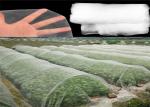 Melon Aphid / Leafminer / Whitefly Insect Proof Mesh , Anti Insect Netting