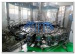 PET Bottle Beverage Filling Machine / Carbonated Drinks Production Lines