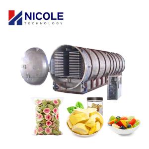 China Industrial Low Temperature Lyophilizer Vacuum Freeze Drying Machine PLC Control wholesale