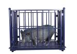 500kg Livestock Scales For Cattle