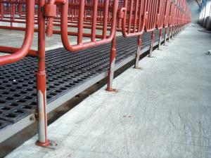 China Eurotier Hannover 2010 Hannover Germany - - NorthHusbandry Machinery wholesale