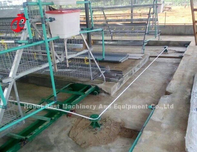 2 Or 3 Rows 380v Poultry Manure Scraper Machine Automatic Iris