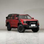 Isuzu JMC Grand Avenue Gasoline Pickup Truck Cars 4x4