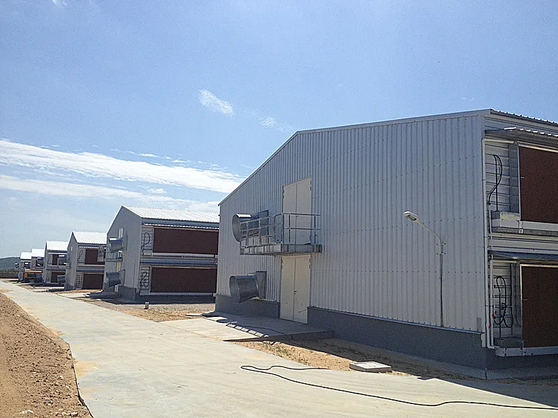 Prefabricated Glavanized Light Steel Structure Farm Poultry House Shed