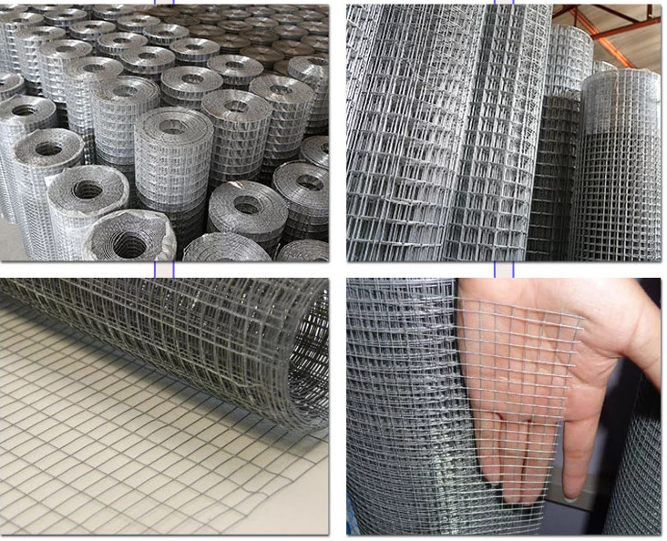 Square Hole Welded Wire Mesh Fencing Rolls Easy To Transport Corrosion Resistance
