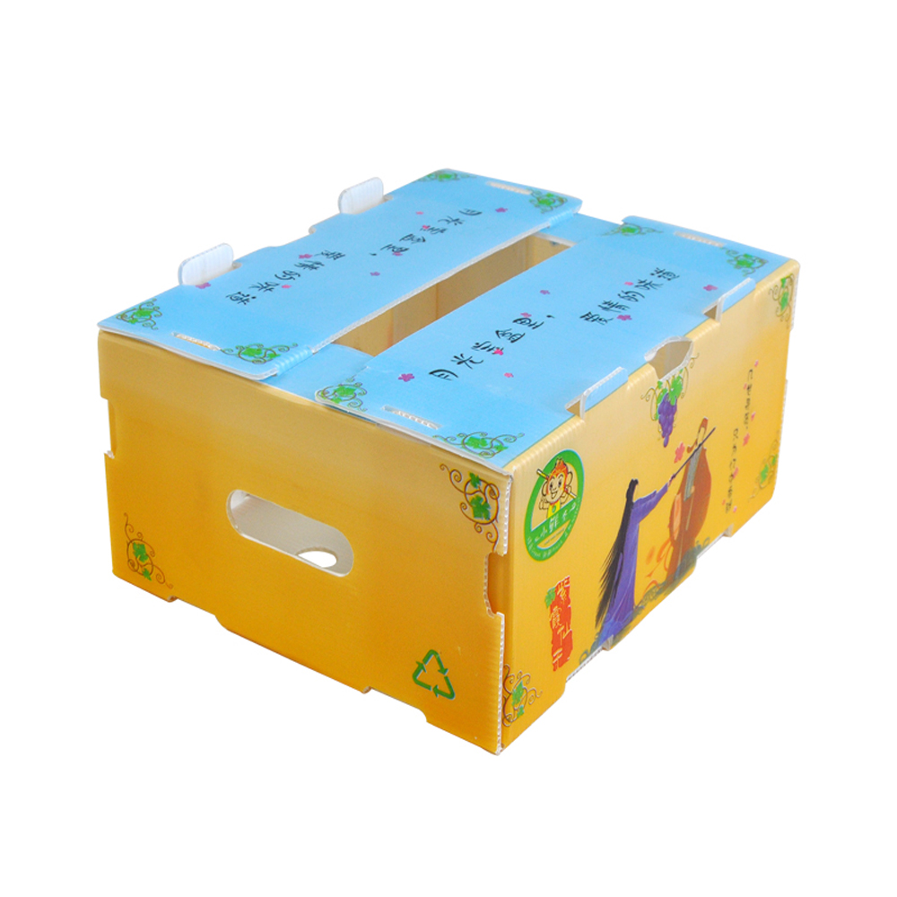 OEM Broccoli Fruit Corrugated Boxes Corrugated Plastic Delivery Box