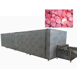 China Continuous Air Cooled Fruit Food Freezing Machine 1800KG/H wholesale