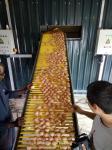5 Layer Q235 Battery Egg Layer Cages Poultry Field Chicken Cage