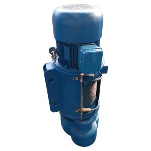 China Stainless Steel Explosion Proof Electric Hoist 5 Ton 12m 380V wholesale