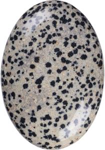 China Natural Polished Dalmatian Jasper Palm Stone Oval Shaped Dalmatian Crystal Energy Stone for Buildings Decoration wholesale