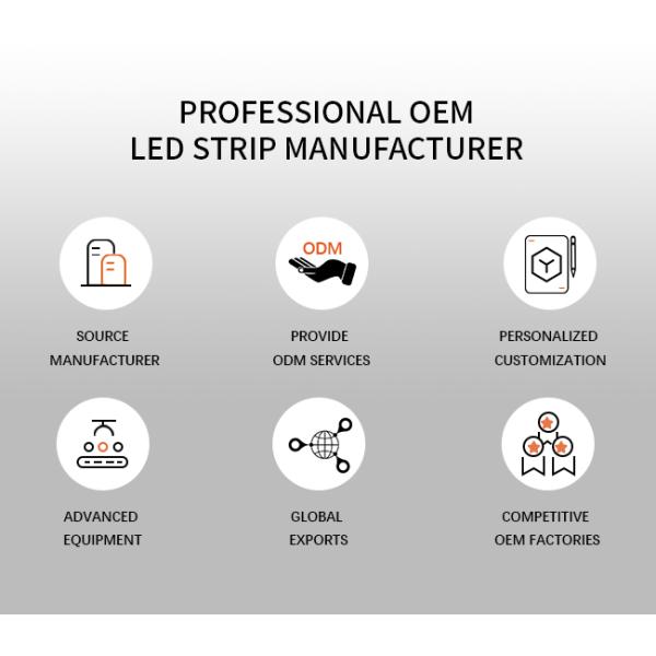 Full Black Outdoor LED Neon Strips 13*5mm Waterproof Flexible RGB LED Neon Light Strip