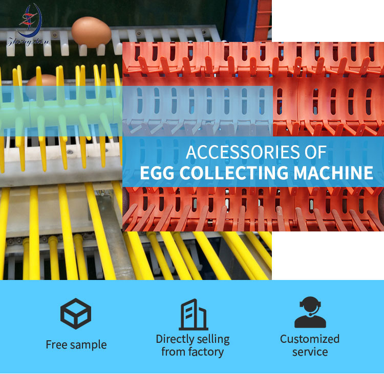 08B Double Ear Chain For Automation Egg Collection Machine Accessory