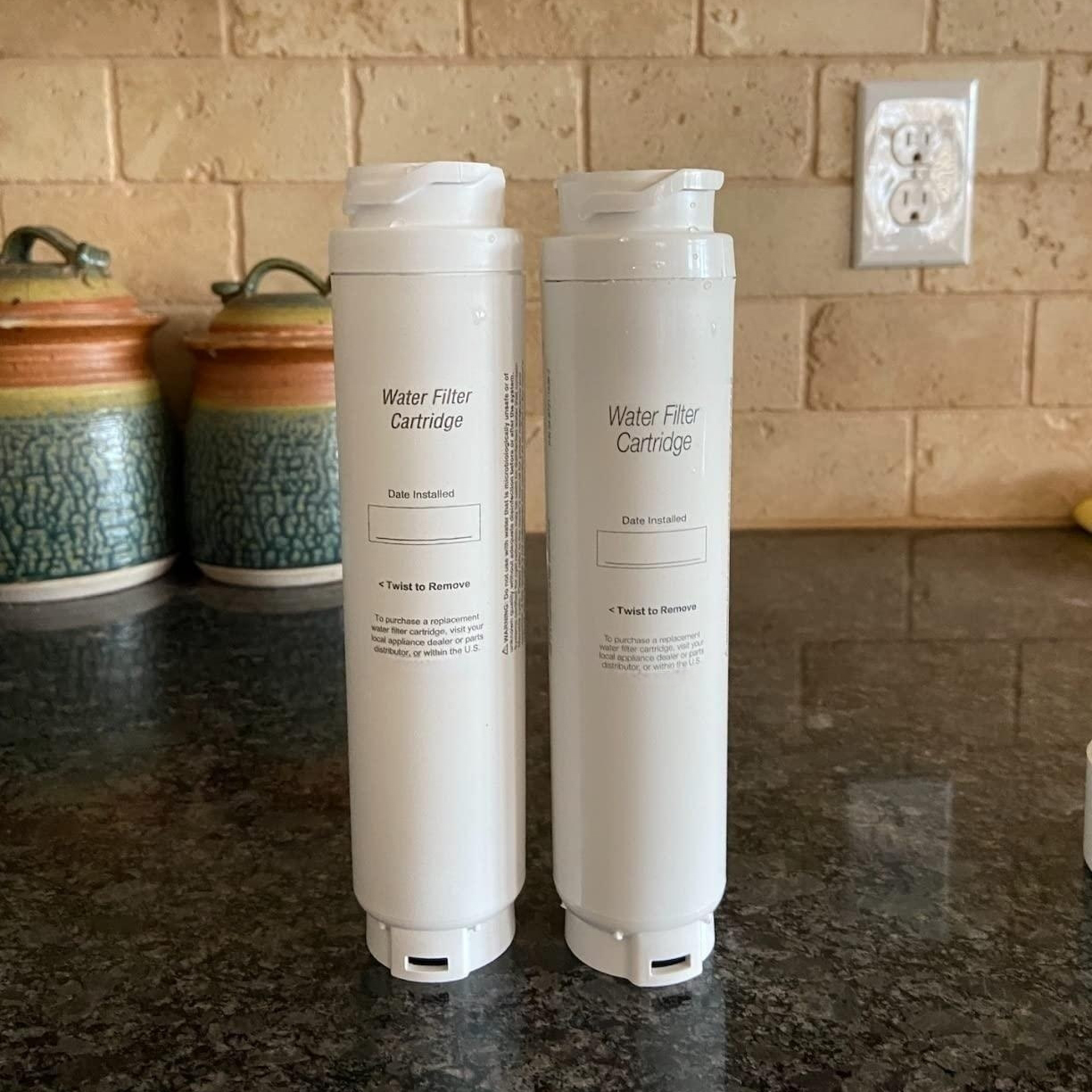 REPLFLTR10 Refrigerator Water Filter Cartridge 00740560 2 Pack for Household Supplies