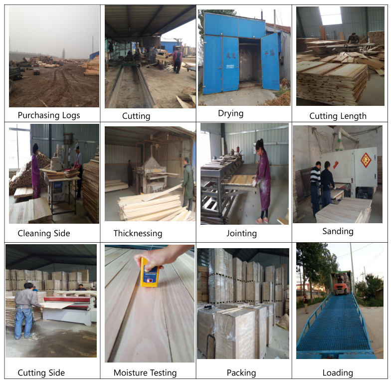 Unfinished Paulownia Tomentosa Wood Board with Smooth Surface and Moisture Content of 8%-12%