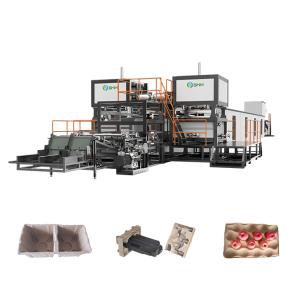 China High quality fruit tray making machine for sale Waste Paper Fruit Tray Packaging Equipment wholesale