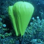 Marine Buoyancy Inflatable Underwater Lift Bags For Rescue