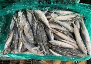 China High Protein 120g Scomber Japonicus Fresh Frozen Mackerel wholesale