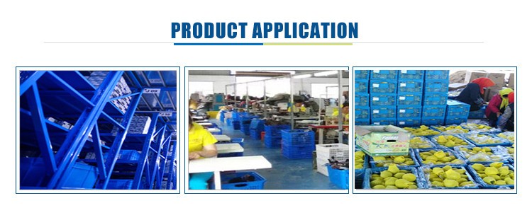 plastic foldable transport box plastic storage boxes for industry China factory