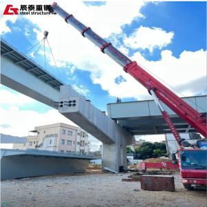 Large Span Prefabricated Truss Bridge Construction Portable Steel Bridges
