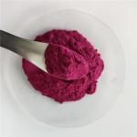 Antioxidants Food Grade Bilberry Fruit Powder With Best Price