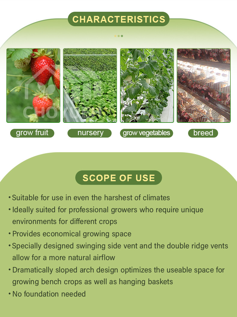 Double Layer PE Film Multi Span Film Greenhouse With Hydroponic System