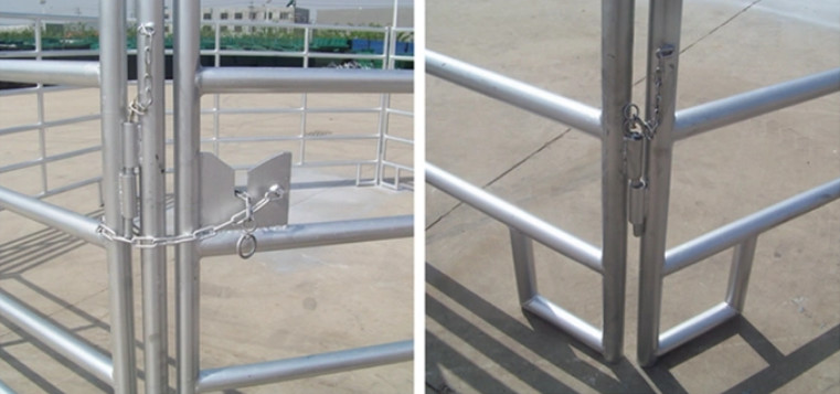 Cattle Metal Corral Fence